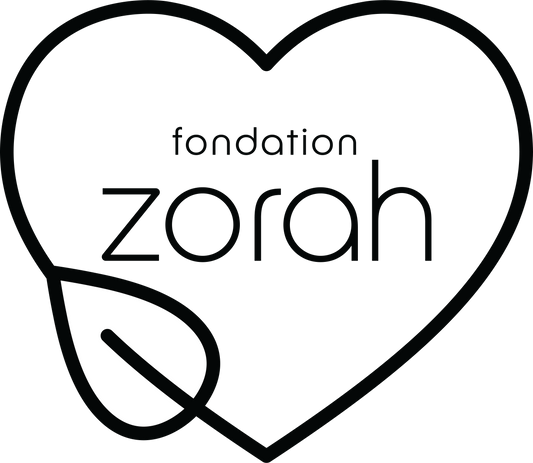 Fondation Zorah Moments / Zorah Moments Foundation