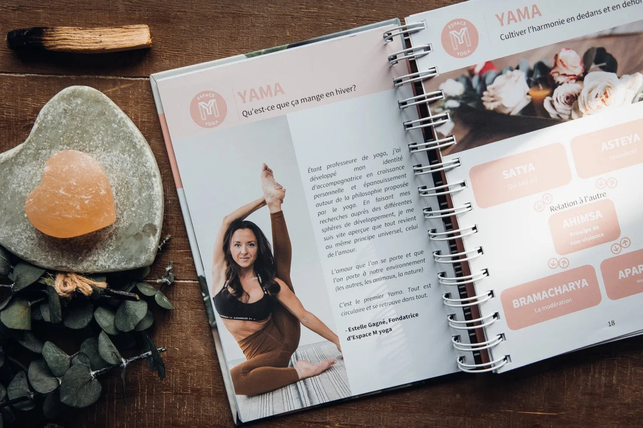Le journal du yogi
