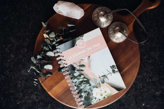 Le journal du yogi