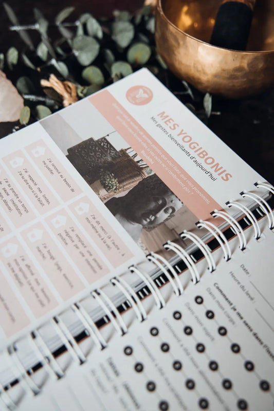 Le journal du yogi